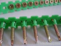 collated screw