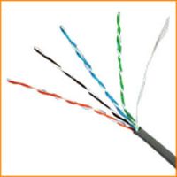 Cat 5e Cable