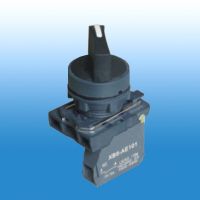 Selector Switch XB5-AJ21