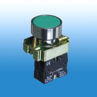 Flush Pushbutton XB2-BA31