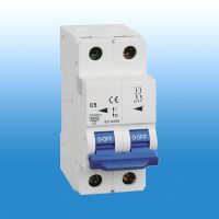 Miniature Circuit Breaker (RTM6-63)