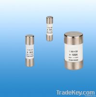 Cylinder Cap Fuse (RT14)