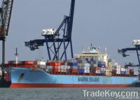 Container Ocean Shipping Freight to South America