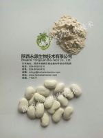 white kidney bean extract phaseolin1-3%, 3000 units/g Chinese manufacturer, natural weight lose