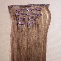 clips in human hair extension