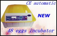 Professional Thermometer Incubators Commercial Eggs Incubators  For Chicken Eggs