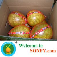 Honey-pomelo