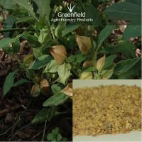 https://es.tradekey.com/product_view/Ashwagandha-Medicinal-Seeds-Withania-Somnifera--1702292.html