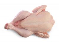 whole broiler chicken