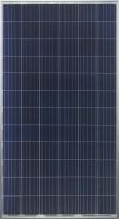 305W~320W Poly Solar Module