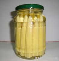 Pickled Baby Corn & Maize Glass Jar