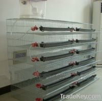 quail cages for sale
