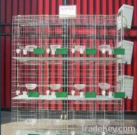 Pigeon Breeding Cage