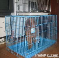 Dog Cage For Sale