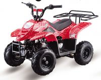 ATV ATA110-B  EEC EPA DOT