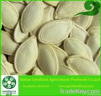 High Quality Shine Skin  Pumpkin Seeds, 7~12mm,