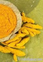 Turmeric