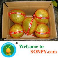 Honey pomelo