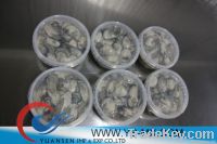Frozen Pasteurized Oyster meat