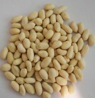 blanched peanut kernel