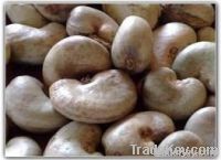 Cheap Cashew Nut | Wholesale Cashew Nut | Discounted Cashew Nut | Bulk Cashew Nut | Cashew Nut Suppliers | Cashew Nut Exporters | Cashew Nut Manufacturers | Cashew Nut Buyer | Import Cashew Nut