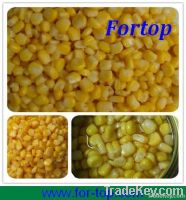 Canned Sweet Corn