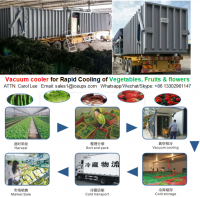 vacuum cooling machine for fruits and flowers