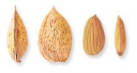 https://jp.tradekey.com/product_view/Almond-Supplier-Almond-Exporter-Almond-Manufacturer-Almond-Trader-Almond-Buyer-Almond-Importers-Import-Almond-1699654.html