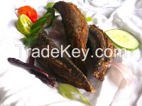 Maldives fish for wholesale and retail