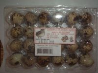 quail eggs