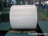 hot dipped galvanized steel coil/strip