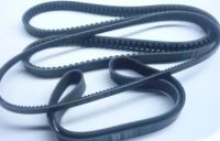 https://www.tradekey.com/product_view/Auto-Timing-Belts-1737534.html