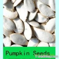 Snow White Pumpkin Seeds