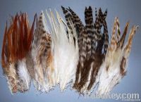 Color Grizzly Rooster Feathers For Hair Extension