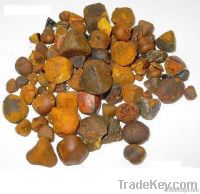 Ox Gallstones