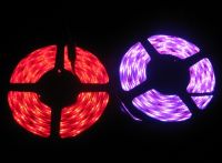 Waterproof Flexible RGB 5050 led strip light