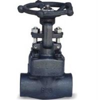 Forged Steel Gate Valve