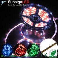 3528/5050 waterpoof  LED Strips light