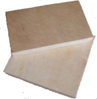 birch plywood