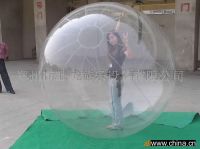 water walking ball