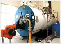 Gas and oil fired steam boiler