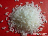 Sona Mansuri Steam Rice