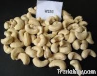 Cheap Cashew Nut | Wholesale Cashew Nut | Discounted Cashew Nut | Bulk Cashew Nut | Cashew Nut Suppliers | Cashew Nut Exporters | Cashew Nut Manufacturers | Cashew Nut Buyer | Import Cashew Nut | Cashew Nut Importers