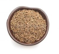 Cumin Seeds