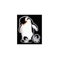 Wilderness Collection Emporer Penguin