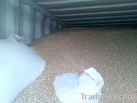 Wheat / cereal / olive grains (for export from Ukraine)