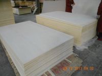 Poplar Plywood best Quality by prime fortune 