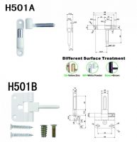 Stainless Steel Screw Hinges