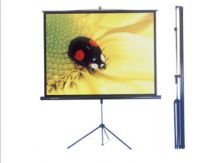 Tripod Screen