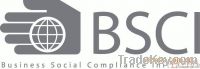 BSCI AUDIT CONSULTING